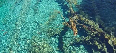水質(zhì)怎么分類的？