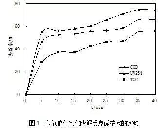 臭氧(催化)氧化技術(shù)在污水處理廠提標改造中的應用- 臭氧(催化)氧化技術(shù)在污水處理廠提標改造中的應用-