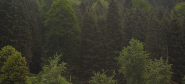 環(huán)境部答復(fù)“建議國家加大對固體廢物處理技術(shù)和專項設(shè)備的研發(fā)投入，增加專業(yè)處理機構(gòu)的數(shù)量”的建議